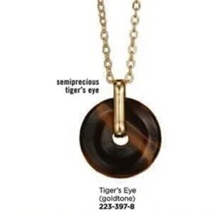AVON Tiger's Eye Stone Disc Pendant Necklace - Studio 1886